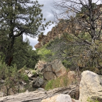 Little Owl Canyon Ranch Southeast images 5
