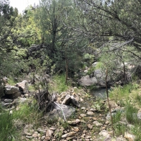 Little Owl Canyon Ranch Southeast images 6