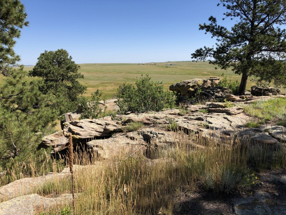 Ramey Ranch featured image