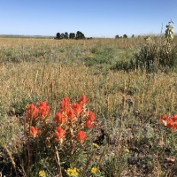 Ramey Ranch images 2