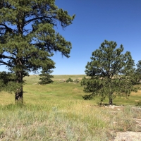 Ramey Ranch images 3