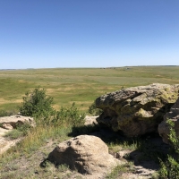 Ramey Ranch images 5