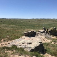 Ramey Ranch images 6