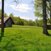Wildflower Woods images 4