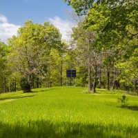 Wildflower Woods images 6