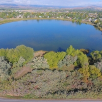 Cattail Pond images 3