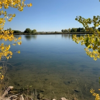 Cattail Pond images 5