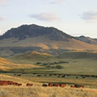 IX Ranch images 2