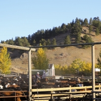 IX Ranch images 5