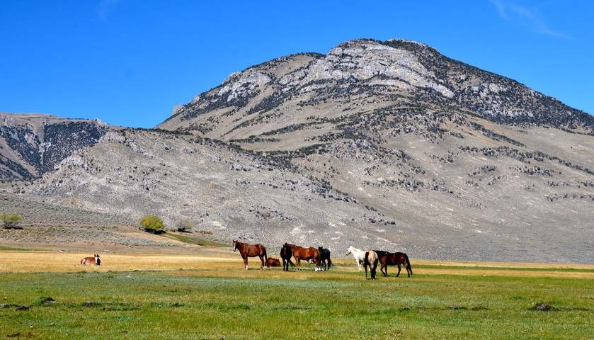 Lost Peaks Ranch featured image