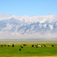 Lost Peaks Ranch images 2