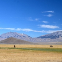 Lost Peaks Ranch images 4