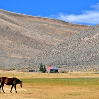 Lost Peaks Ranch images 5