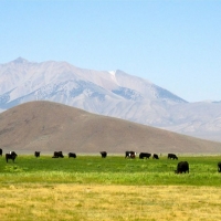 Lost Peaks Ranch images 6