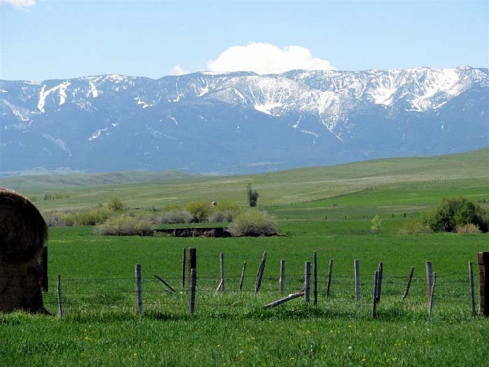 Red Lodge Creek Ranch featured image