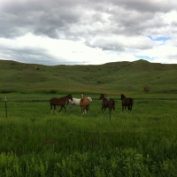 Red Lodge Creek Ranch images 2