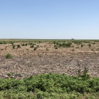 Southwest Kansas Irrigated  Tillable &nbsp; amp  Grass Farm images 3