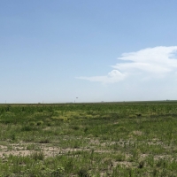 Southwest Kansas Irrigated  Tillable &nbsp; amp  Grass Farm images 5
