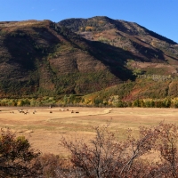 Hawks Nest Ranch images 2