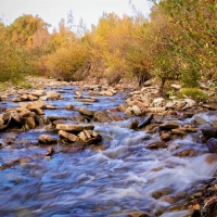 Hawks Nest Ranch images 3