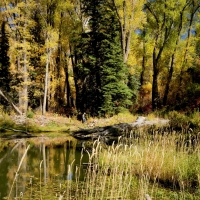 Hawks Nest Ranch images 5