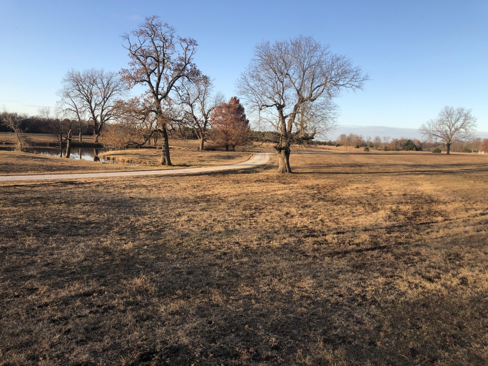 Cardwell Farms Lot 4 featured image