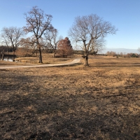 Cardwell Farms Lot 4