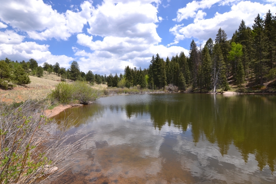 Willowstone Springs featured image