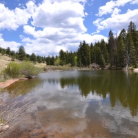 Willowstone Springs