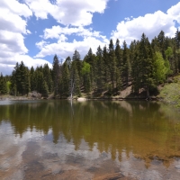 Willowstone Springs images 2