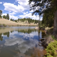 Willowstone Springs images 3
