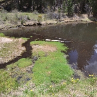 Willowstone Springs images 5