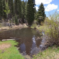 Willowstone Springs images 6