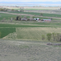 J amp C Finch Ranch