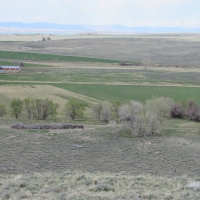 J amp C Finch Ranch images 3