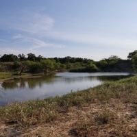 Hunting &nbsp; Recreational Ranch Land For Sale in Young County  TX