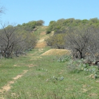 Hunting &nbsp; Recreational Ranch Land For Sale in Young County  TX images 3
