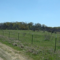 Hunting &nbsp; Recreational Ranch Land For Sale in Young County  TX images 4