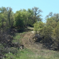 Hunting &nbsp; Recreational Ranch Land For Sale in Young County  TX images 5