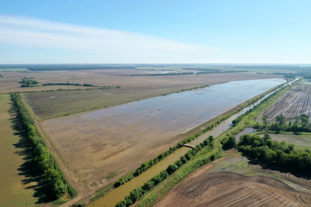 The Penn Farm featured image