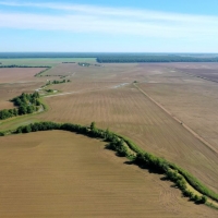 The Penn Farm images 2