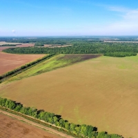 The Penn Farm images 3