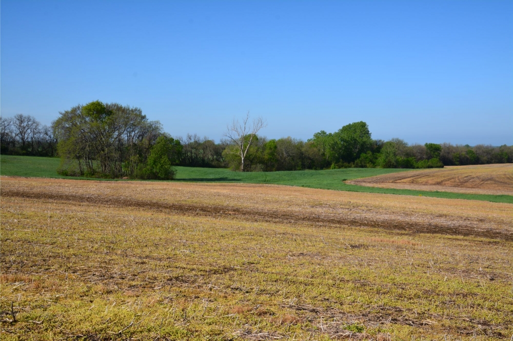 Leavenworth Development Tract featured image