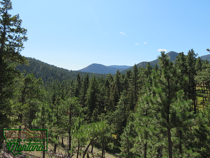Ponderosa Pine Surrounded Cabin Site - Woods Creek  10 acres for  58 500 featured image