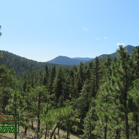 Ponderosa Pine Surrounded Cabin Site - Woods Creek  10 acres for  58 500