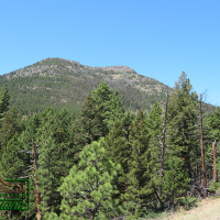 Ponderosa Pine Surrounded Cabin Site - Woods Creek  10 acres for  58 500 images 4
