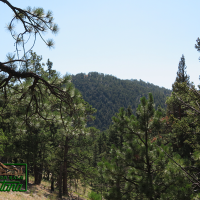 Ponderosa Pine Surrounded Cabin Site - Woods Creek  10 acres for  58 500 images 6