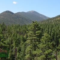 Ponderosa Pine Surrounded Cabin Site - Woods Creek  10 acres for  58 500 images 2