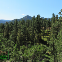 Ponderosa Pine Surrounded Cabin Site - Woods Creek  10 acres for  58 500 images 5