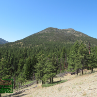 Ponderosa Pine Surrounded Cabin Site - Woods Creek  10 acres for  58 500 images 3